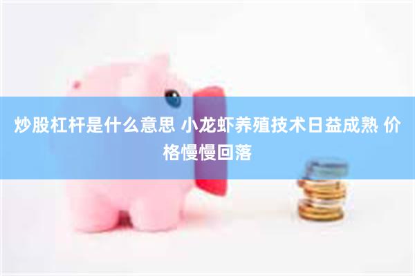 炒股杠杆是什么意思 小龙虾养殖技术日益成熟 价格慢慢回落