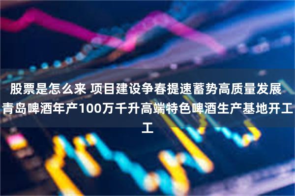 股票是怎么来 项目建设争春提速蓄势高质量发展 青岛啤酒年产100万千升高端特色啤酒生产基地开工