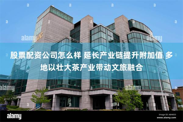 股票配资公司怎么样 延长产业链提升附加值 多地以壮大茶产业带动文旅融合