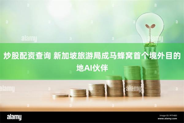 炒股配资查询 新加坡旅游局成马蜂窝首个境外目的地AI伙伴