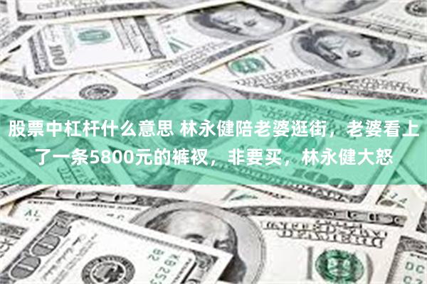股票中杠杆什么意思 林永健陪老婆逛街，老婆看上了一条5800元的裤衩，非要买，林永健大怒