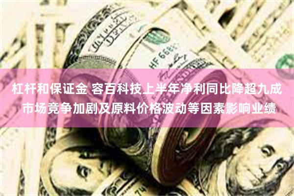 杠杆和保证金 容百科技上半年净利同比降超九成 市场竞争加剧及原料价格波动等因素影响业绩