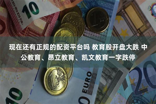 现在还有正规的配资平台吗 教育股开盘大跌 中公教育、昂立教育、凯文教育一字跌停