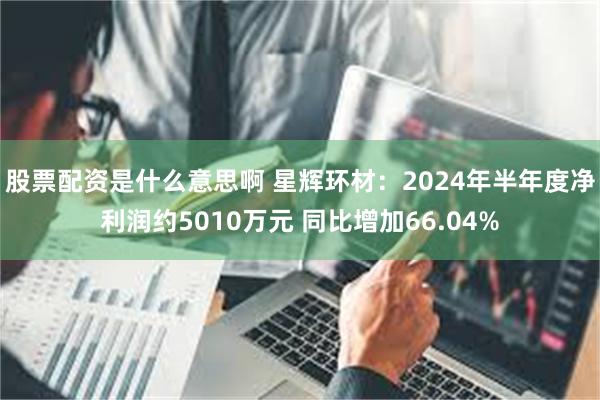股票配资是什么意思啊 星辉环材：2024年半年度净利润约5010万元 同比增加66.04%