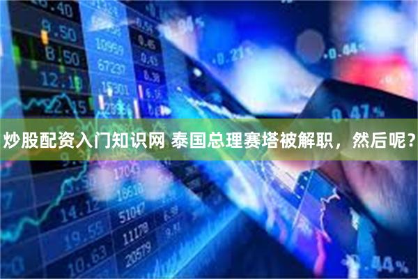 炒股配资入门知识网 泰国总理赛塔被解职，然后呢？