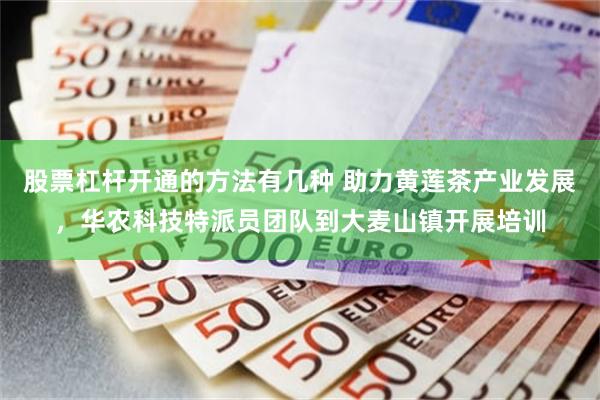 股票杠杆开通的方法有几种 助力黄莲茶产业发展，华农科技特派员团队到大麦山镇开展培训