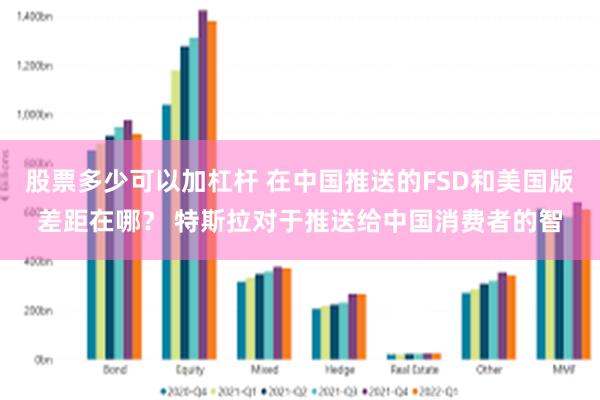 股票多少可以加杠杆 在中国推送的FSD和美国版差距在哪？ 特斯拉对于推送给中国消费者的智