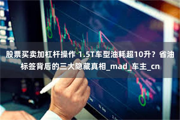 股票买卖加杠杆操作 1.5T车型油耗超10升？省油标签背后的三大隐藏真相_mad_车主_cn