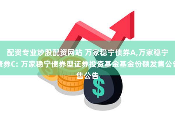 配资专业炒股配资网站 万家稳宁债券A,万家稳宁债券C: 万家稳宁债券型证券投资基金基金份额发售公告