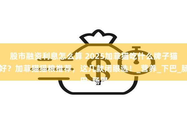 股市融资利息怎么算 2025加菲猫吃什么牌子猫粮好？加菲猫猫粮推荐，这几款闭眼选！_营养_下巴_肠胃