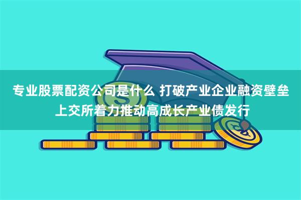 专业股票配资公司是什么 打破产业企业融资壁垒 上交所着力推动高成长产业债发行