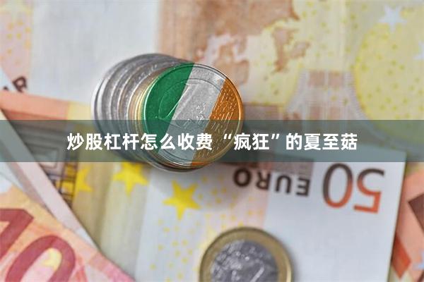 炒股杠杆怎么收费 “疯狂”的夏至菇