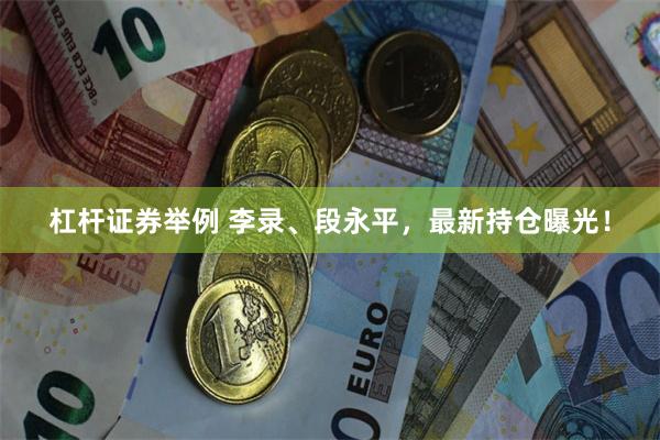 杠杆证券举例 李录、段永平，最新持仓曝光！