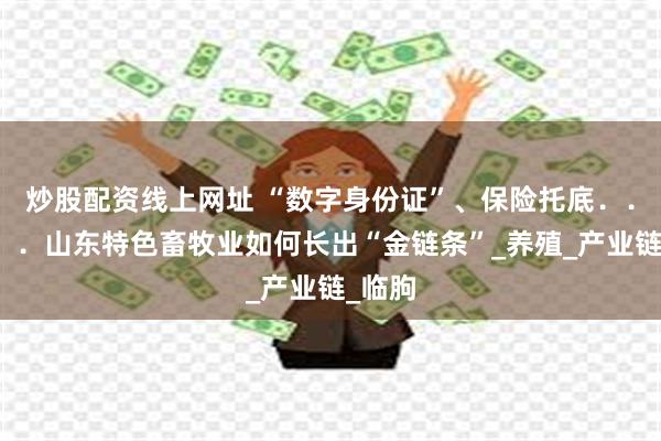 炒股配资线上网址 “数字身份证”、保险托底．．．．．．山东特色畜牧业如何长出“金链条”_养殖_产业链_临朐