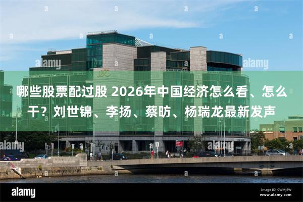 哪些股票配过股 2026年中国经济怎么看、怎么干?刘世锦、李扬、蔡昉、杨瑞龙最新发声